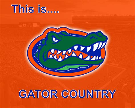 100 Florida Gators Wallpapers