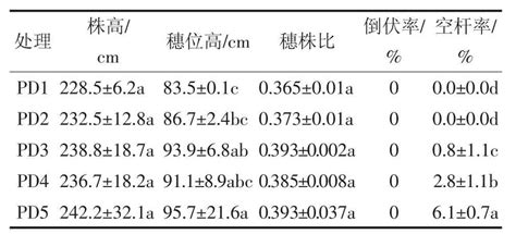 播种密度对雨养夏玉米产量形成的调控效应参考网