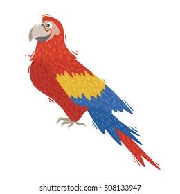 Red Ara Parrot Vector Stock Vector Royalty Free