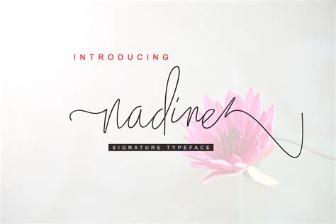 Nadine Script Font By Malindo Creative · Creative Fabrica