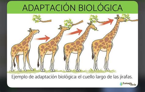 Print Froggy Jumps Cuestionario De Biología biología 2º