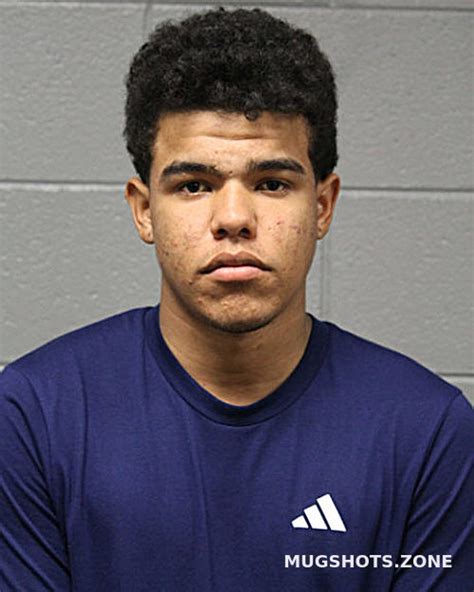 Geremi Jose Nunez Bracamonte 10 16 2023 Chicago Mugshots Zone