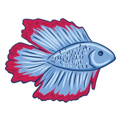 Diseños Png De Pez Betta Para Camisetas And Merch