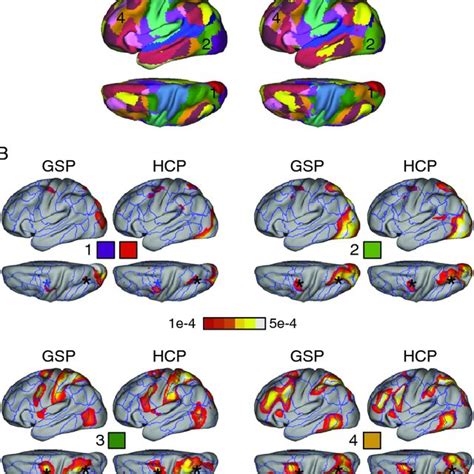 Locations Of Default And Dorsal Attention Network Regions That