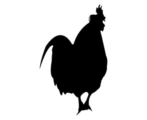 Premium Vector Vector Chicken Silhouette Isolated On White Background