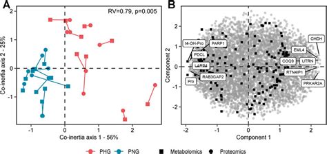 Proteomics And Metabolomics Data Integration A B Multiple Download Scientific Diagram