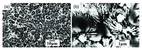 A Sem Micrograph Of The Alloyed Zone The Former Austenite Grains