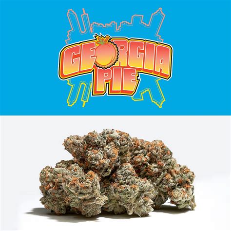 Georgia Pie by Cookies - 3.5g - The Potherb Cannabis Online Store