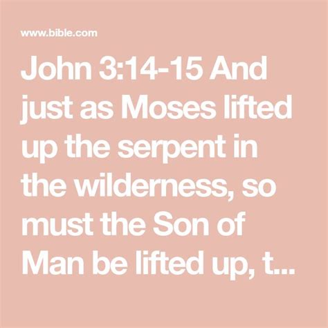 John 3 14 15 And Just As Moses Lifted Up The Serpent In The Wilderness