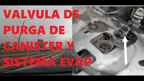 Funcionamiento Del Sistema Evap Y La V Lvula De Purga Del Canister En