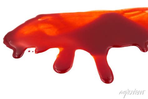 Dripping Blood Isolated On White Background Flowing Red Blood Wall