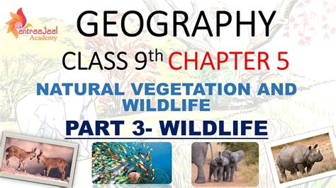 Natural Vegetation And Wildlife Geography Class Chapter Part