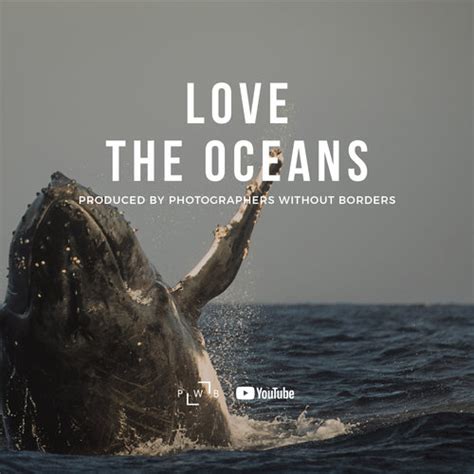 Love The Oceans — Photographers Without Borders