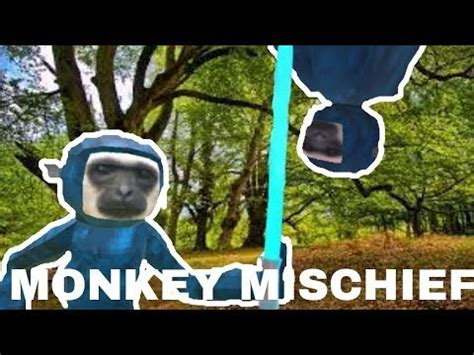 Funny Monkey Monkey Mischief Vr Youtube