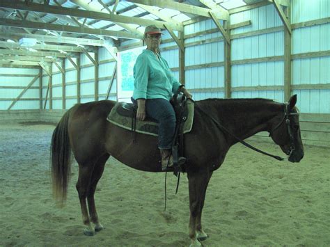 Horse Trainers in Missouri - Nick Ivanovich