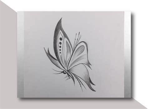 Butterfly Pencil Drawing