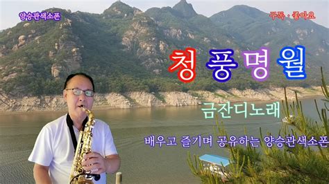 금잔디 🎵🎶청풍명월 🎵🎶 양승관색소폰 Youtube