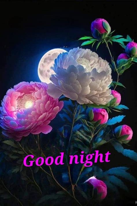 Good Night With Beautiful Flowers And Moon