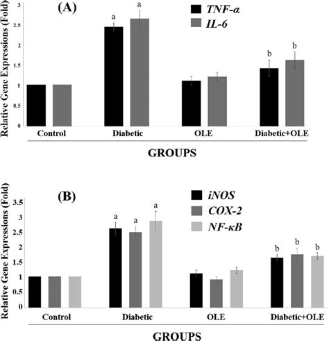 Effect Of Ole Treatment On Relative A Tnf α And Il 6 B Inos