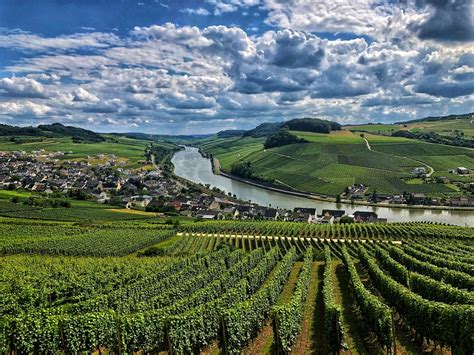 Weinberge Um Nittel An Der Mosel Lenz Th Flickr