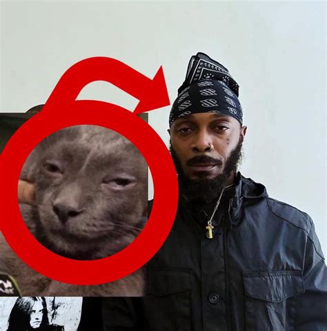 Is This Real R Jpegmafia