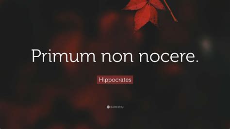 Hippocrates Quote: “Primum non nocere.”