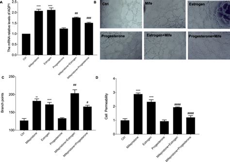 Effect Of Mifepristone 1 μmoll And Estrogen 01 μmoll Or