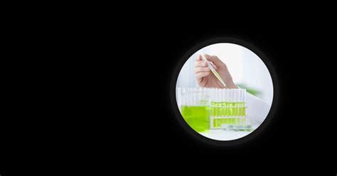 health care  life sciences deloitte global