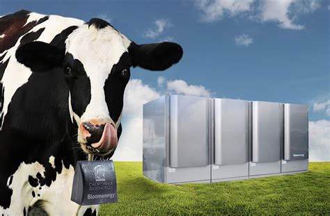 Calbio And Bloom Energy To Generate Renewable Electricity From Dairy