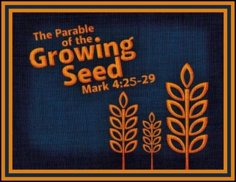 parable    growing seed
