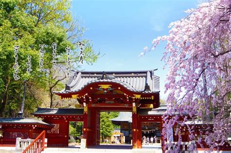 chichibu shrine  saitama  famous   festival  anime forget