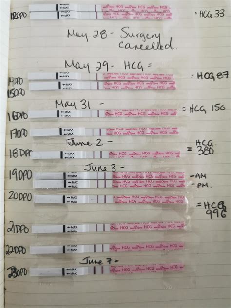 Ovulation Test Strips Line Progression at Maddison Joyce blog