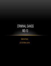 Criminal Gangs: Origins & History of MS-13 and Their Violent | Course Hero