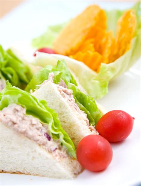 Plate Of Tuna Sandwich With Salad Stock Image Image Of Cheap Crisp