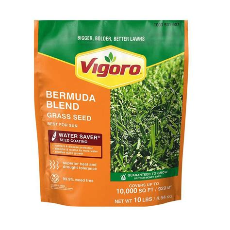 Vigoro 10 Lbs Bermuda Grass Seed Blend With Water Saver Seed Coating 25502 The Home Depot