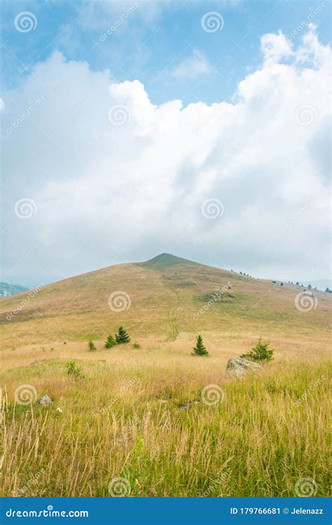 Green Hill Top Stock Image Image Of Field Road Pine 179766681