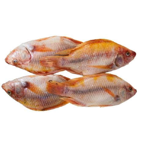 Mojarra Roja Fishmart