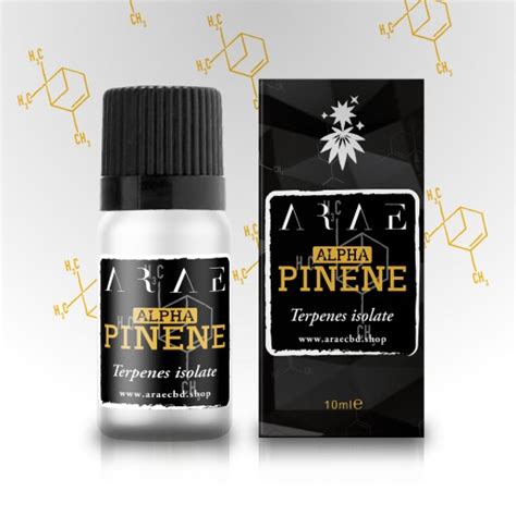 Alpha Pinene ֎ Terpene pure ARAE ֎ Anti-inflammatory