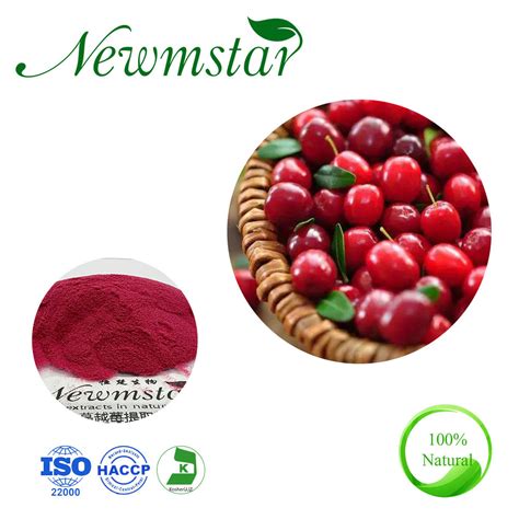 ISO Factory Supply Cranberry Extract Powder Vaccinium Macrocarpon L ...