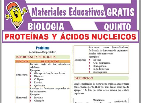 Proteínas y Ácidos Nucleicos para Quinto Grado de Secundaria GRATIS