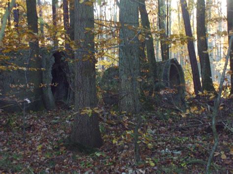 Círculos abandonados en el bosque rompecabezas en línea