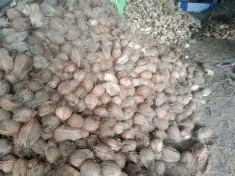 A Grade Pollachi Semi Husked Mature Coconut Packaging Size Kg