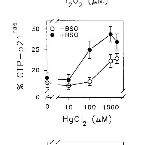 Effect Of Cellular Redox Stress On Endogenous P21 Ras Activity Jurkat