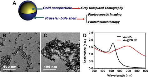 Figure 1 From Prussian Blue Coated Gold Nanoparticles For Simultaneous Photoacousticct Bimodal