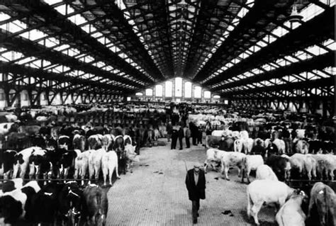 L histoire alambiquée de la Halle Tony Garnier à Lyon