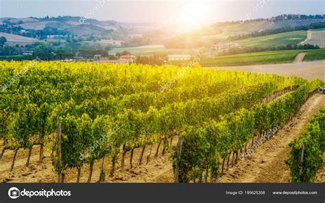 Vineyard landscape in Tuscany, Italy. – Stock Editorial Photo ...