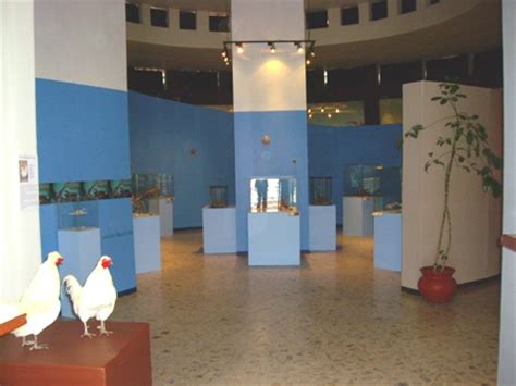 Museo de Ciencias Naturales Edomex Museos México Sistema de