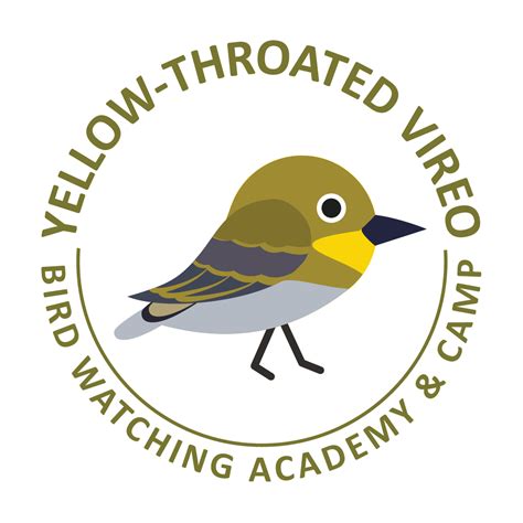 Yellow-throated Vireo - Bird Watching Academy