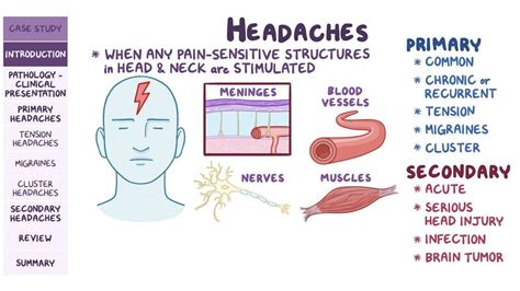 Video Headaches Pathology Review