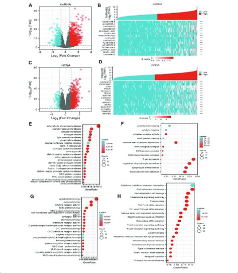 Identifying Differentially Expressed Genes Between High And Low